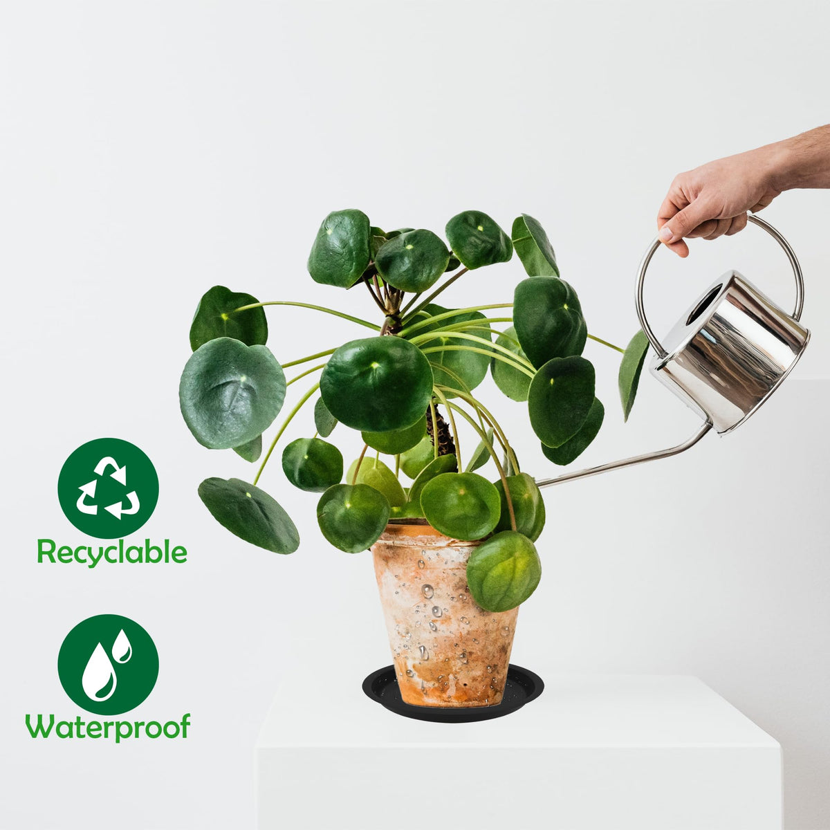 TNTIWQ plant saucer suitable for indoor and outdoor pots.