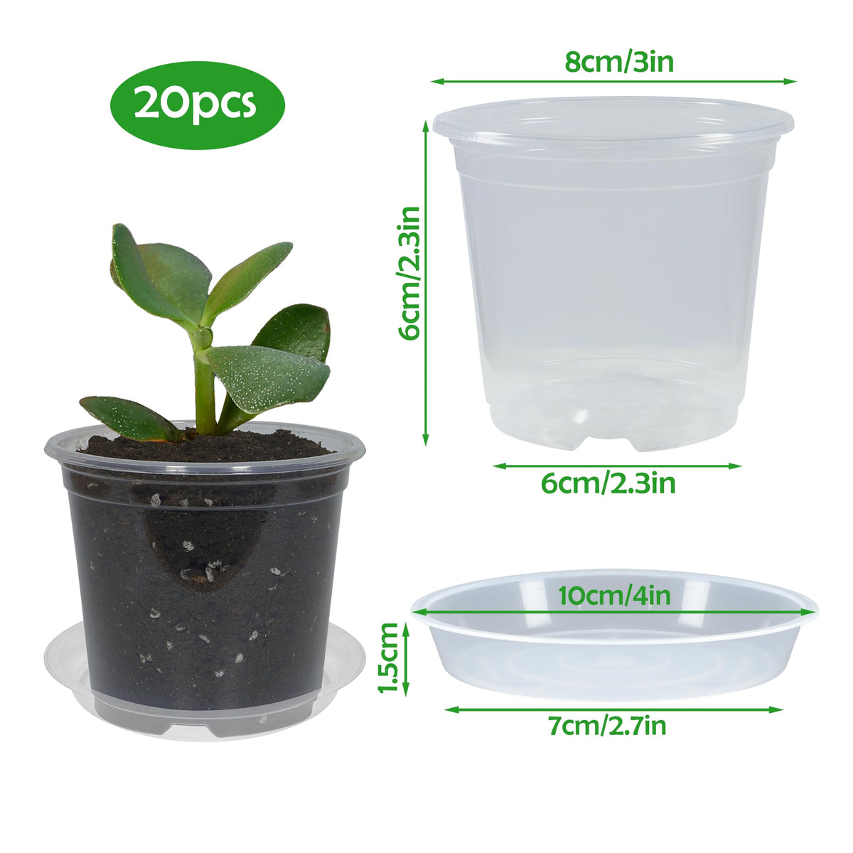 TNTIWQ nursery pot with drainage holes supports healthy root airflow.