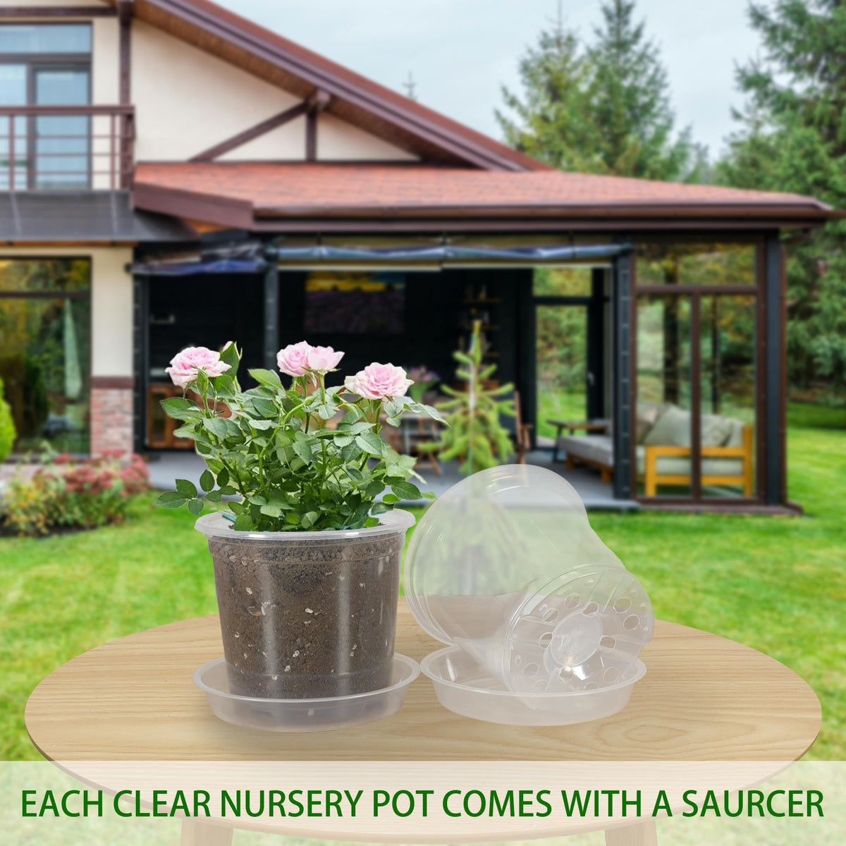 TNTIWQ seedling transplant-ready pots for indoor gardening