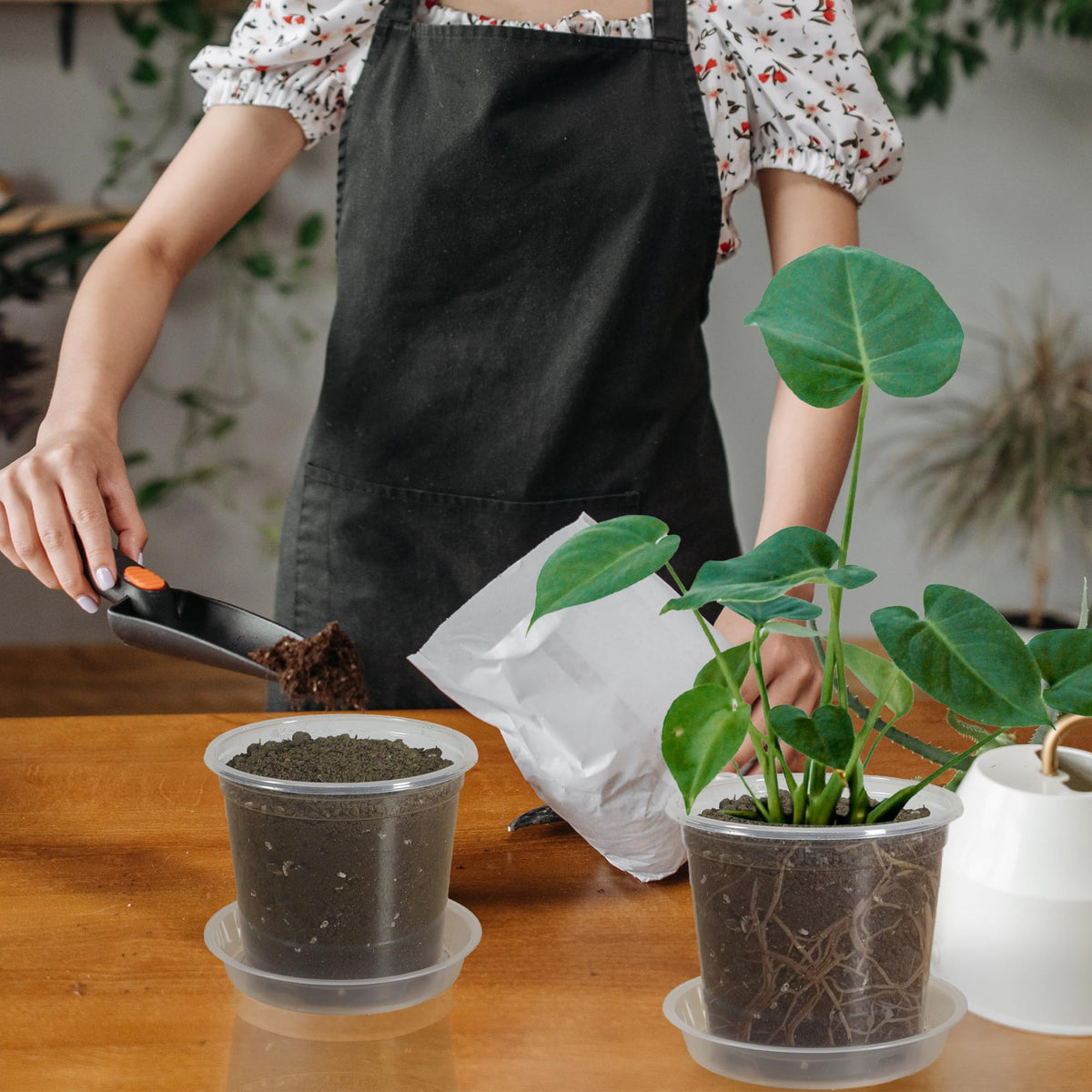 TNTIWQ thickened, durable plastic pots for long-term use