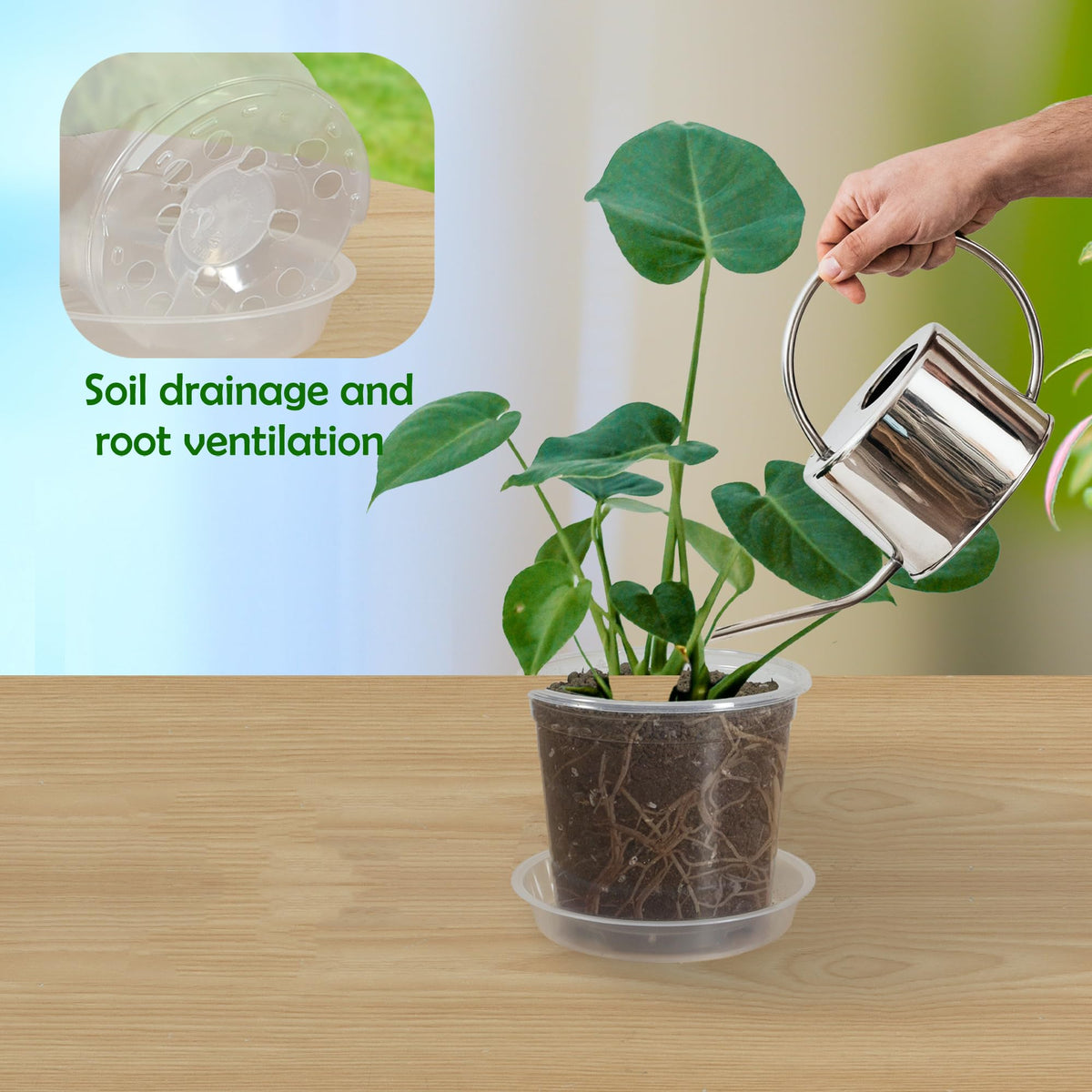 TNTIWQ seed starting pot clear 3in for monitoring roots