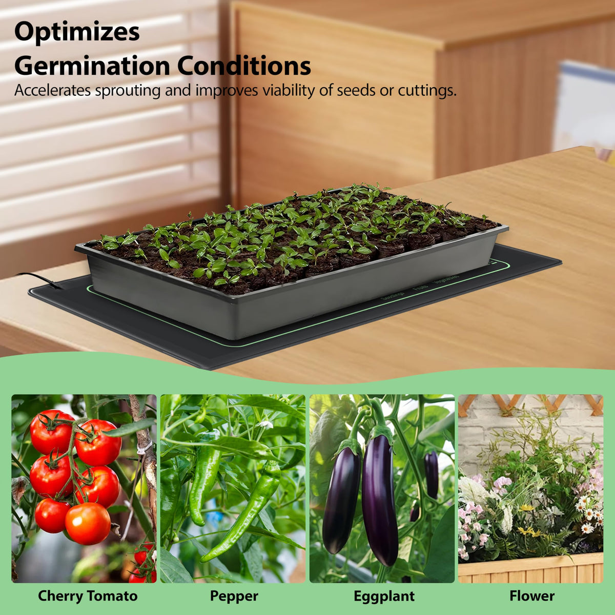 Toaspa Safe Indoor Heating Mat for gardening and terrarium use.