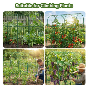 TOCCYARD cucumber trellis arch easy assembly demonstrates tool-free setup