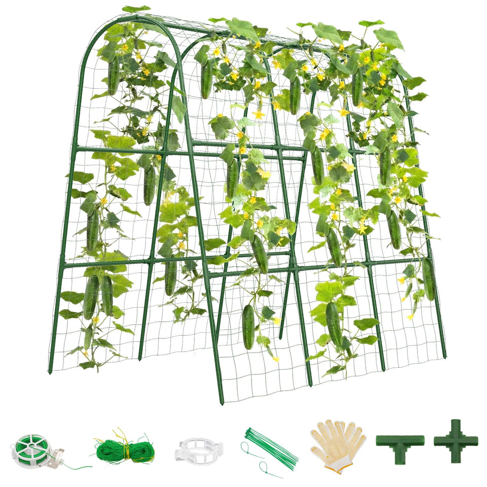 TOCCYARD cucumber trellis arch setup with stable support for climbing vines