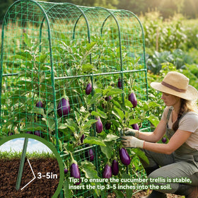 TOCCYARD cucumber trellis arch with climbing vines highlighting space-saving garden design