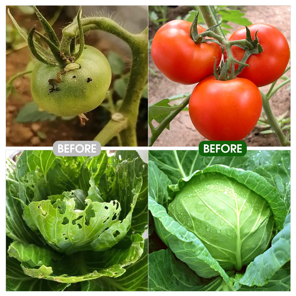 TOCCYARD plastic-coated steel pipes resist rot for long-lasting garden protection