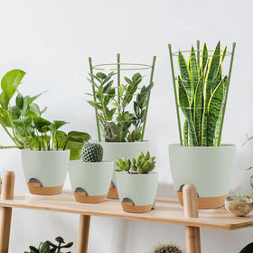 TOCCYARD stackable design for compact storage