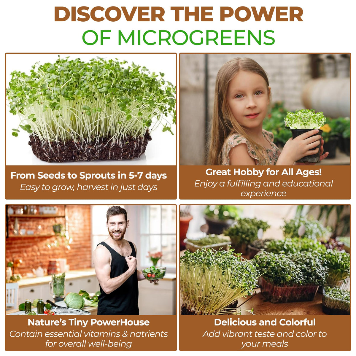 Todd's Seeds alfalfa sprout snack, healthy munch