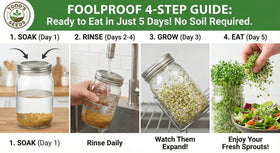 Todd's Seeds alfalfa sprouting seeds bag front, convenient bulk option