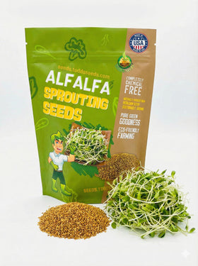 Todd's Seeds alfalfa sprouting seeds in bulk for easy home cultivation