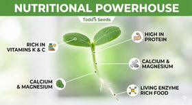 Todd's Seeds alfalfa sprouts on a sandwich as a crunchy topping