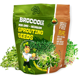 Todd’s Seeds Calabrese broccoli sprouts in a jar for quick home sprouting
