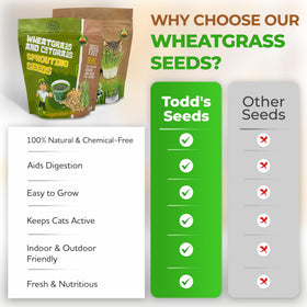 Todd's Seeds chemical-free seed bag close-up highlighting clean production values