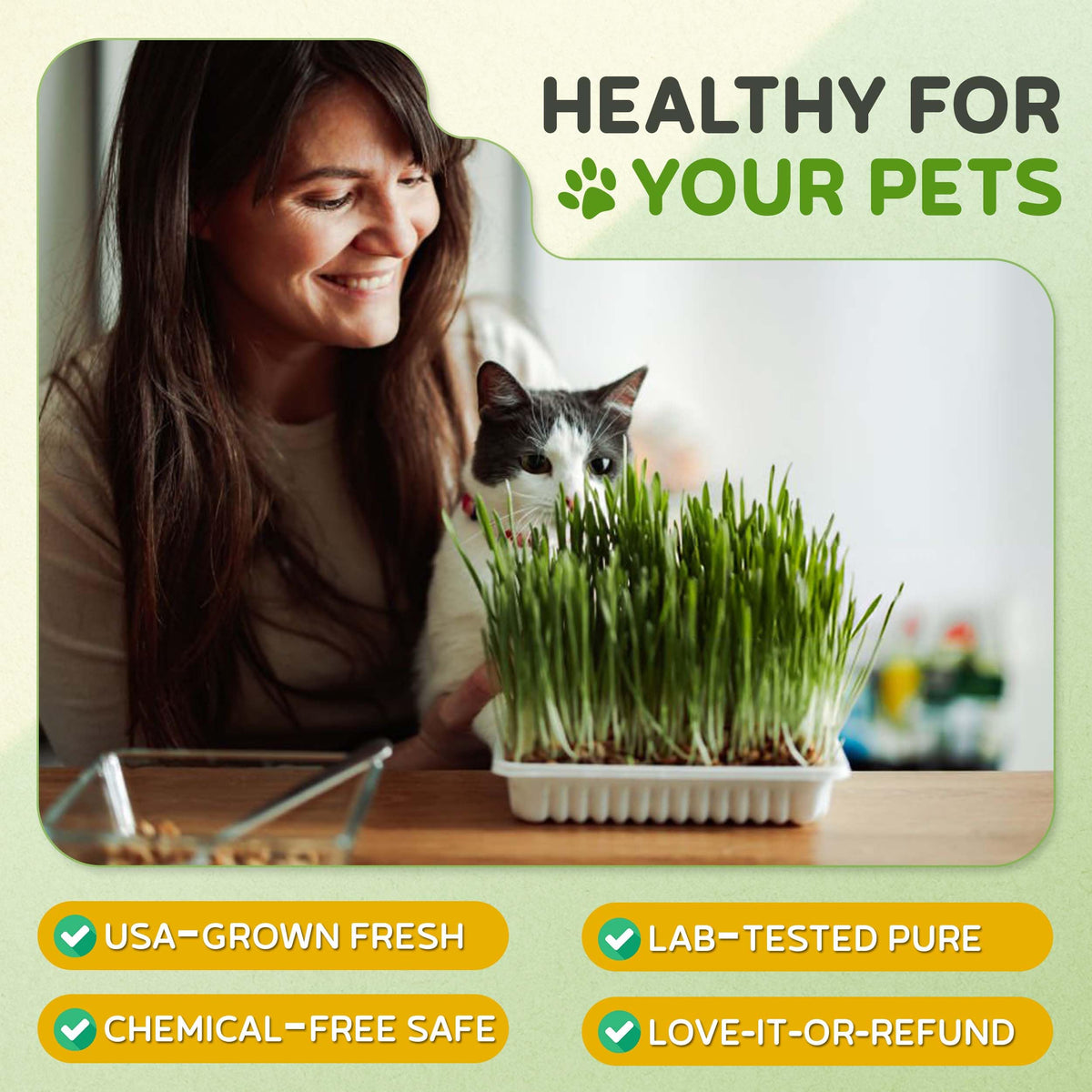 Todd's Seeds Made in USA wheatgrass seeds with high germination for pets