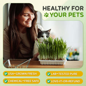 Todd's Seeds Made in USA wheatgrass seeds with high germination for pets