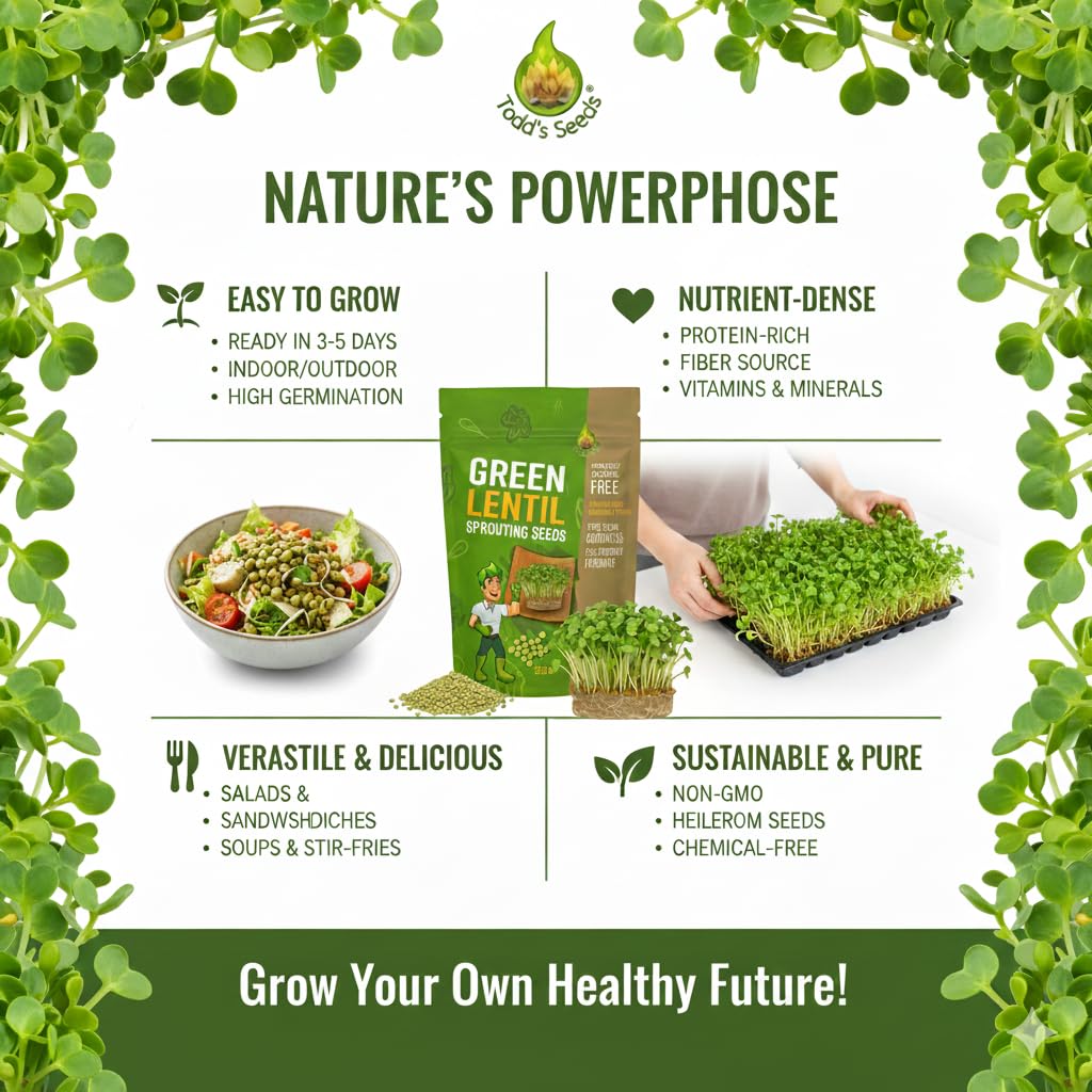 Todd's Seeds non-GMO lentil seeds suitable for clean, versatile meals.
