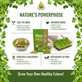 Todd's Seeds non-GMO lentil seeds suitable for clean, versatile meals.