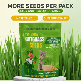 Todd's Seeds premium wheatgrass for cats growing green sprouts in 5 days