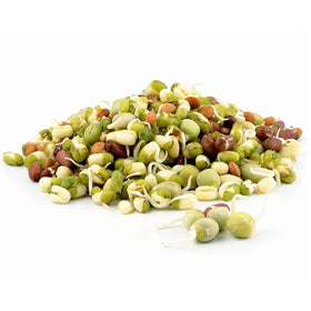 Todd’s Seeds protein bean sprouting seed mix with green peas for fresh home sprouts.