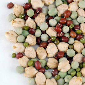 Todd’s Seeds protein bean sprouting seed mix with mung beans for versatile sprouts.