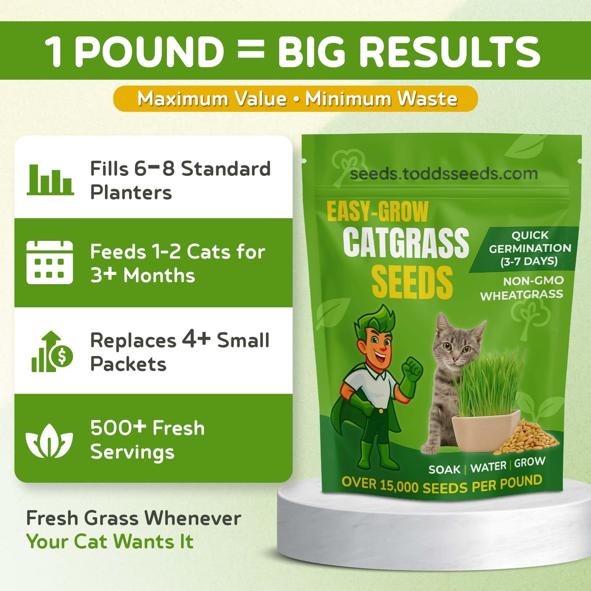 Todd's Seeds purity-tested seeds ensure safe cat grass for homes