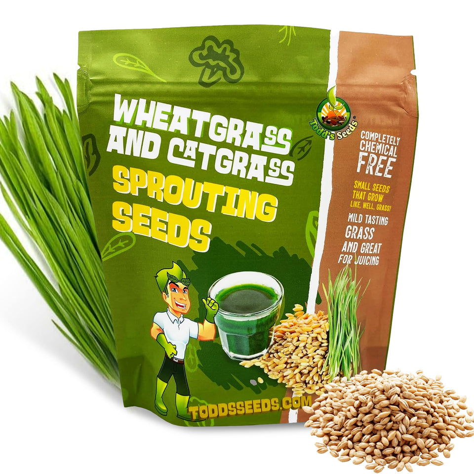 Todd's Seeds wheatgrass seed packaging from USA, ready for at-home sowing
