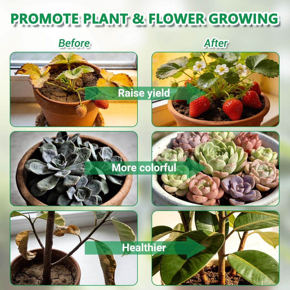 TOEKSIX UL adapter IP44 indoor growing kit safety features