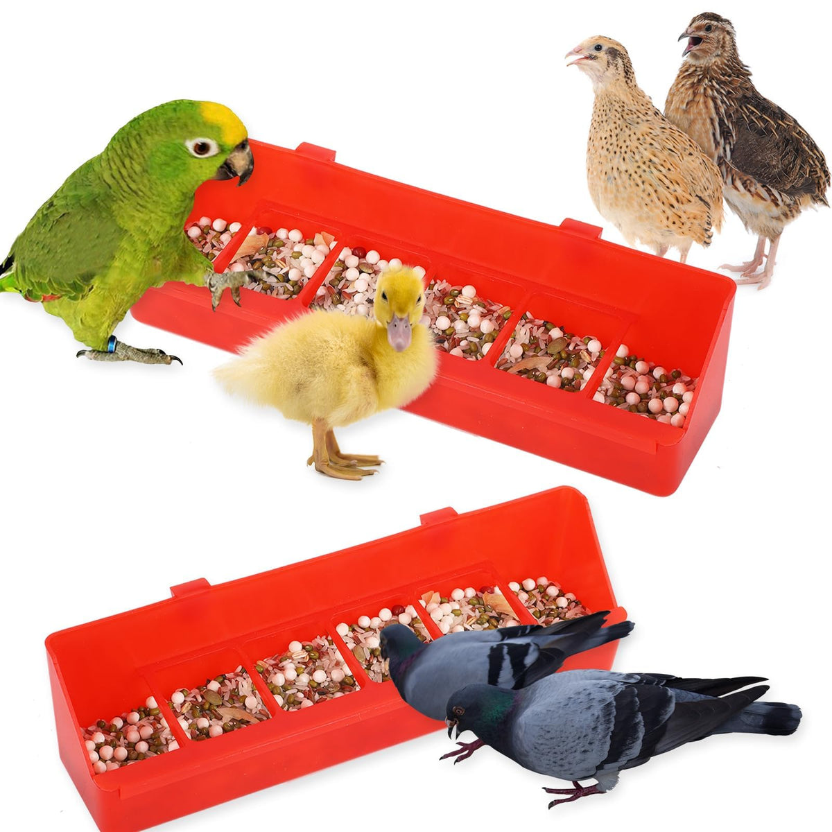 TOHONGADON multi-poultry feeder promotes tidy feeding and less waste.