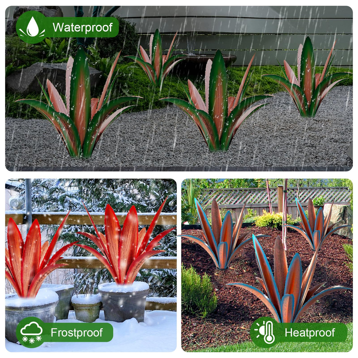TOMBABY blue agave sculpture with no base blends into ground look.