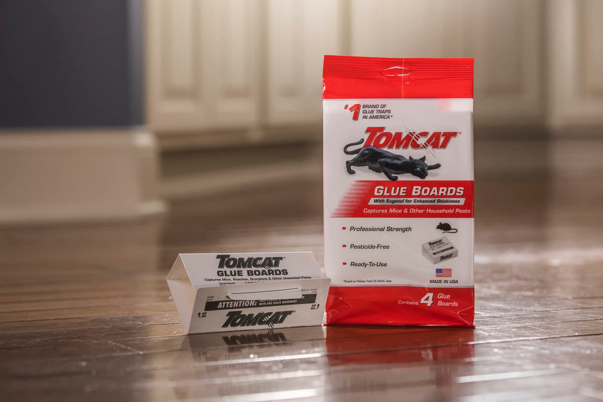 Tomcat glue boards covered-trap for discreet pest control