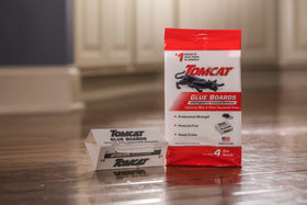 Tomcat glue boards covered-trap for discreet pest control