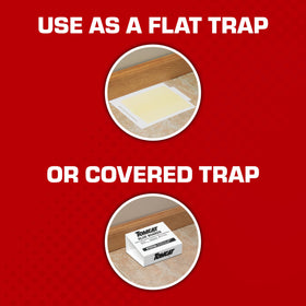 Tomcat Glue Boards in a covered-trap configuration for discreet use.