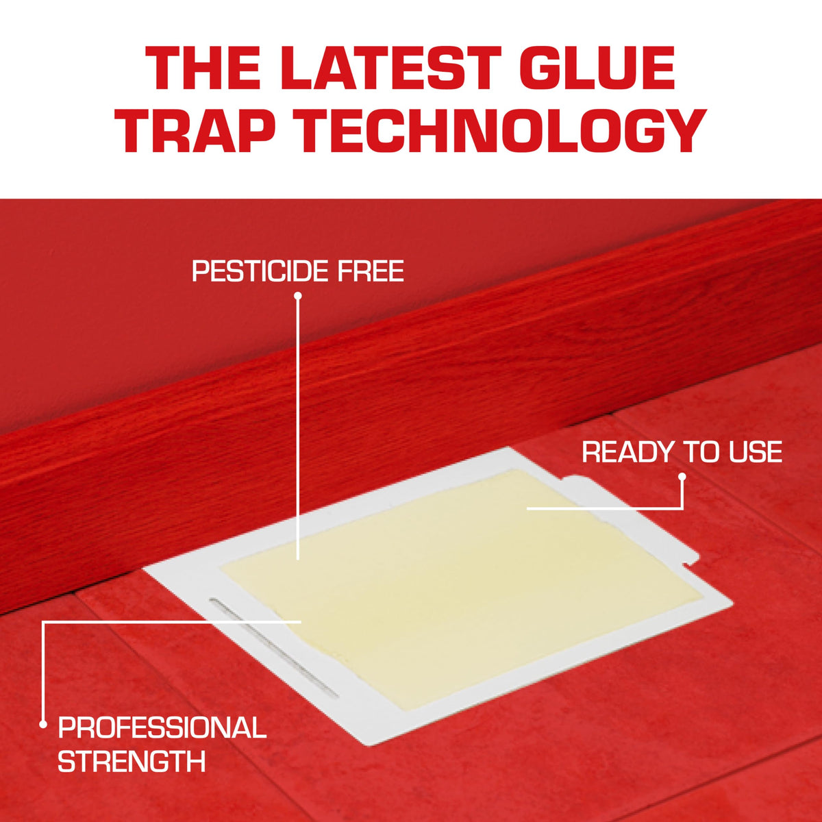 Tomcat Glue Boards laid as a flat-trap for versatile placement.