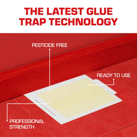 Tomcat Glue Boards laid as a flat-trap for versatile placement.