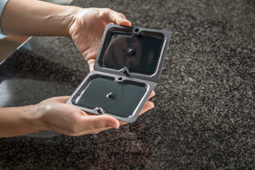 Tomcat glue trap captures a cockroach using strong adhesive