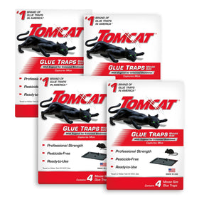 Tomcat glue trap with immediate grip catching a mouse along the wall