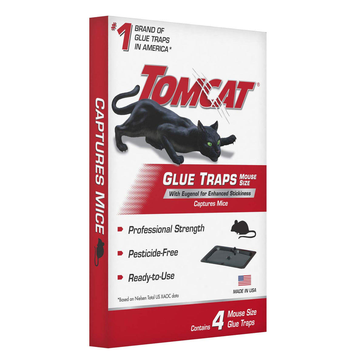 Tomcat glue trap catches a spider with sticky precision