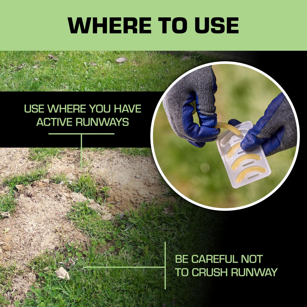 Tomcat Mole Killer Grubs label shows regional restrictions.