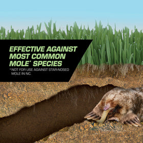 Tomcat Mole Killer Grubs in a yard targeting mole activity.