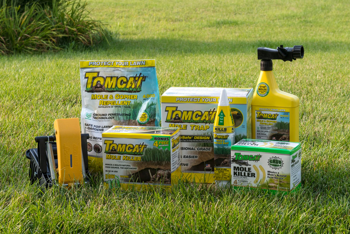 Tomcat Mole Killer lawn application step showing bait placement
