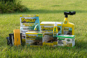 Tomcat Mole Killer lawn application step showing bait placement