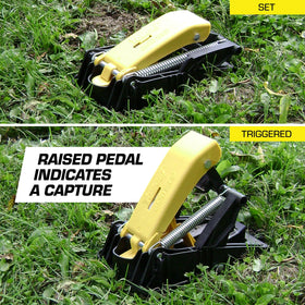 Tomcat Mole Trap yellow foot pedal for fast, reliable setting.