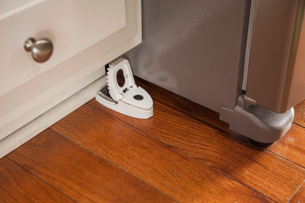 Grab tab on Tomcat Press 'N Set trap enables clean disposal after capture.