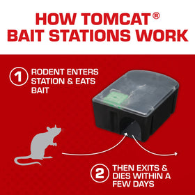 Tomcat Rat & Mouse Killer station outdoors demonstrates weather resistance for exterior use.