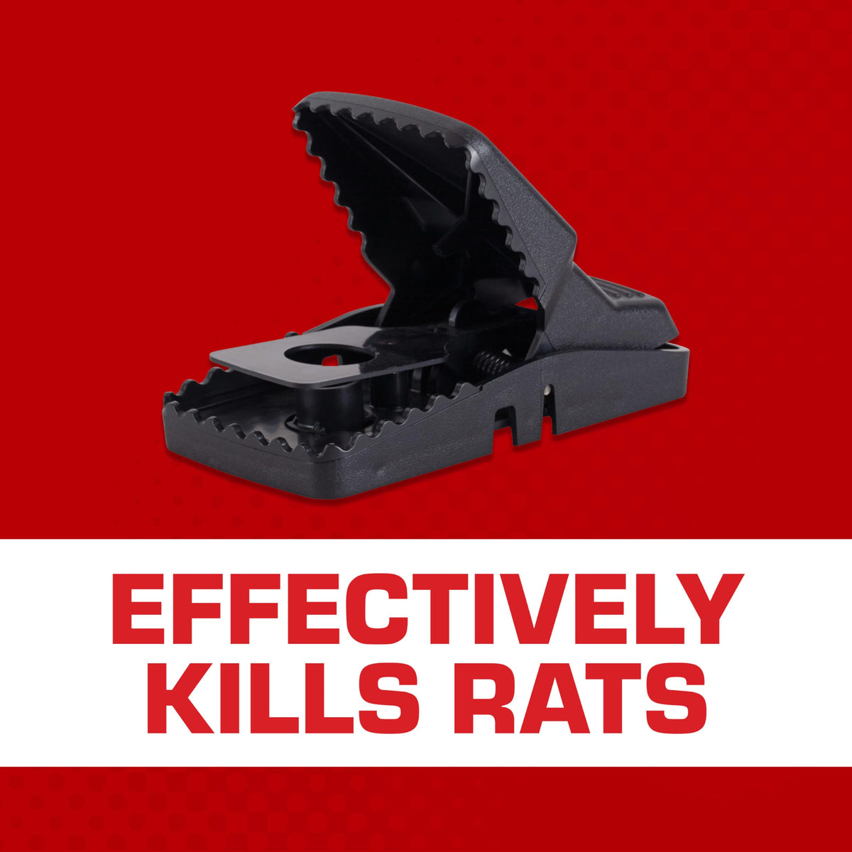 Tomcat Rat Snap Trap removable bait cup showing safe baiting without contact