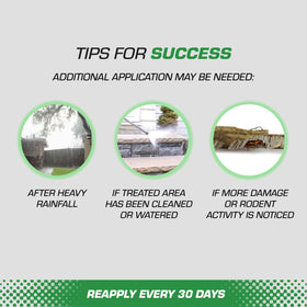 Tomcat outdoor granules around garage deter rodents effectively.