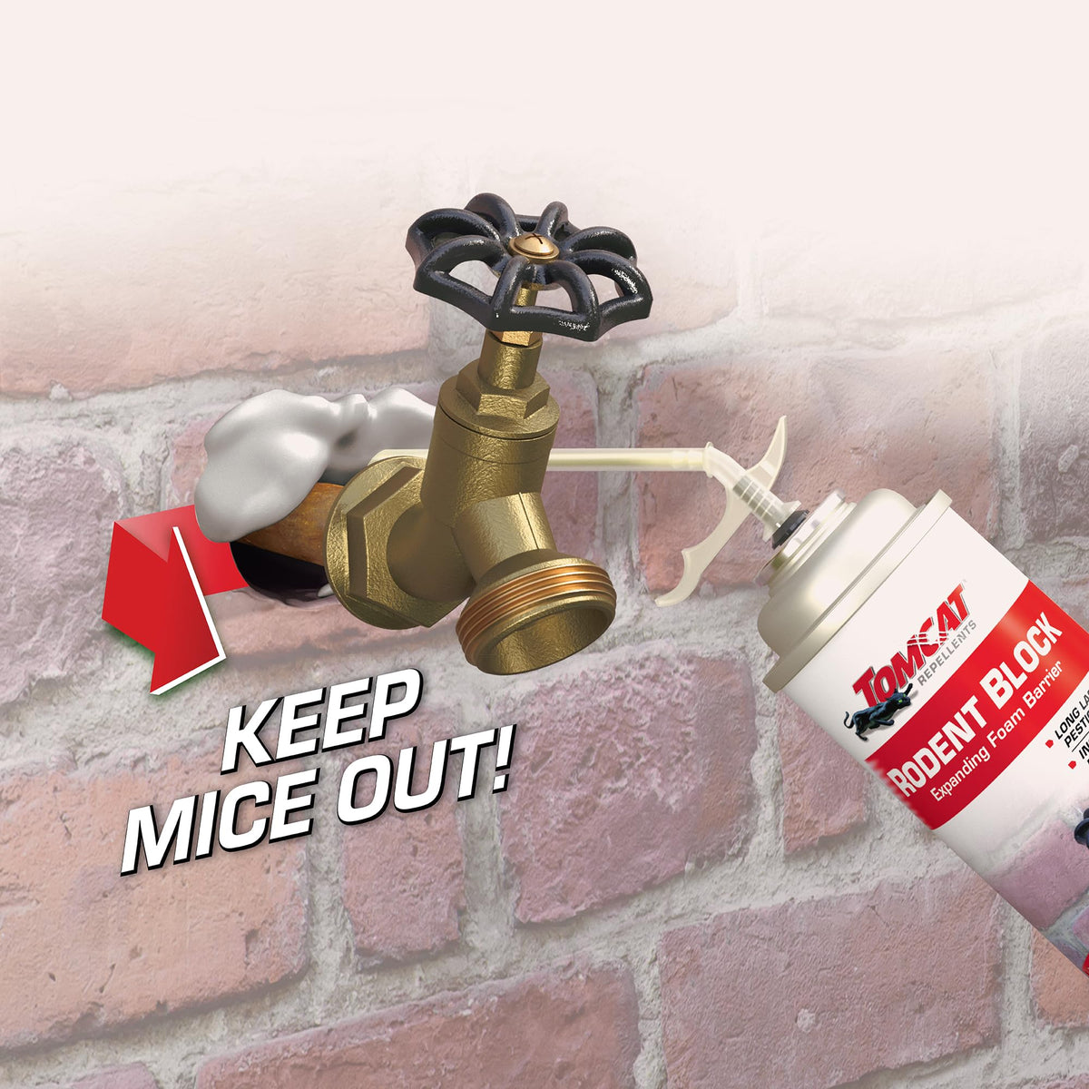 Tomcat Rodent Block foam seals cracks around foundation.