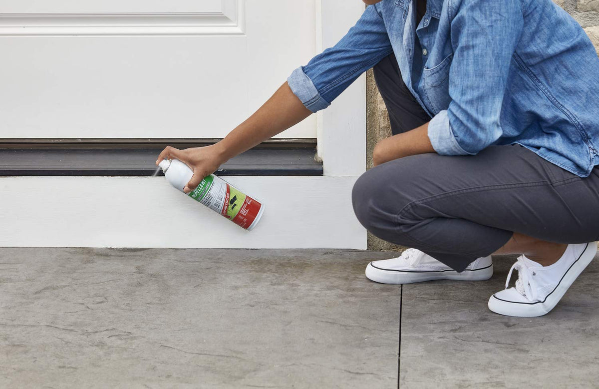Tomcat Rodent Repellent indoors-outdoors application offers long-lasting protection at entry points.