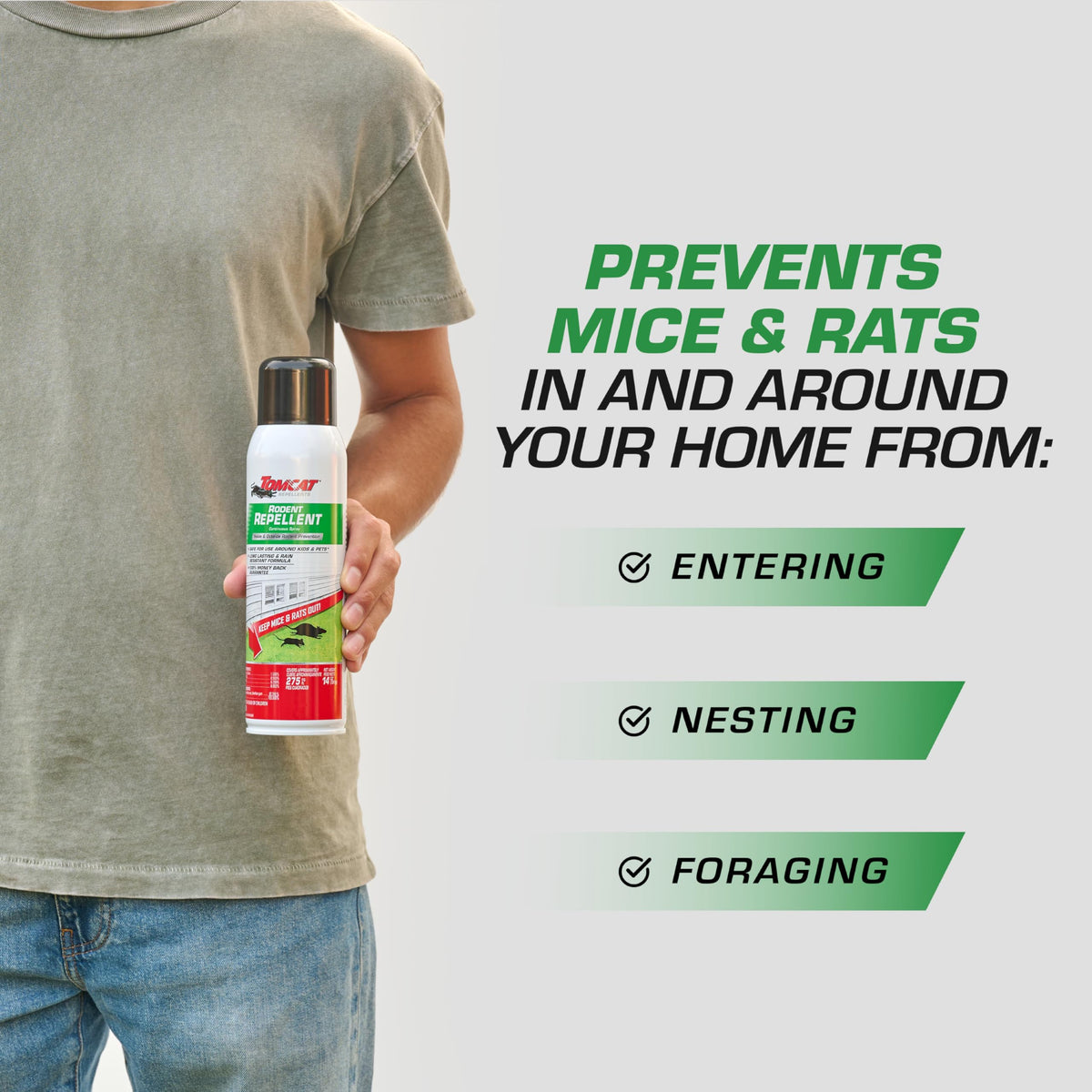 Tomcat Rodent Repellent Spray indoors on cracks and crevices to deter nesting.