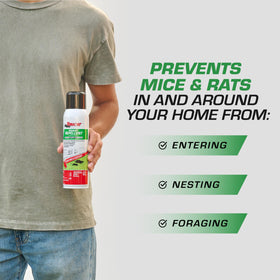 Tomcat Rodent Repellent Spray indoors on cracks and crevices to deter nesting.
